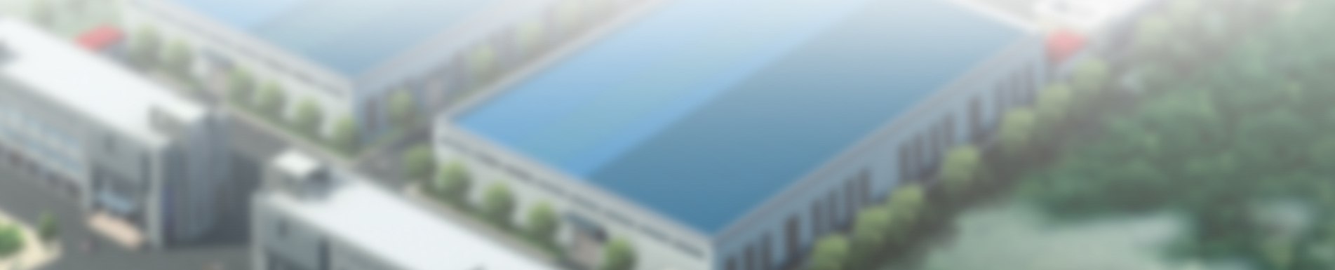 描述